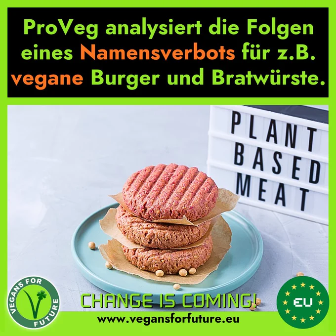 Text:
"Proveg analysiert die Folgen eines Namensverbots für z.B. vegane Burger und Bratwürste."

Auf dem Bild sieht man einen Teller mit 3 rohen Pflanzenburgern.