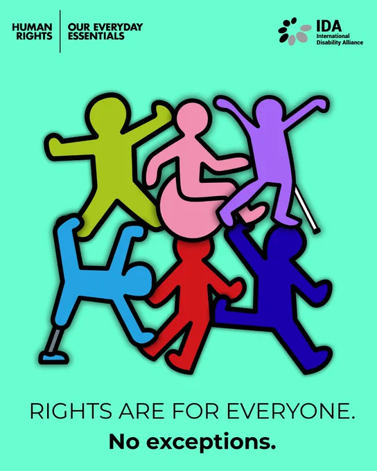 Human figures in bright colours including a wheelchair user and a person with a white cane. Rights are for everyone. No exceptions. Logo of Ida at the top.