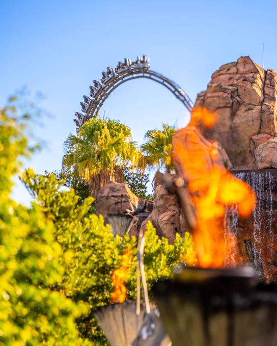 Photo of the VelociCoaster top hat with greenery in the foreground. 
