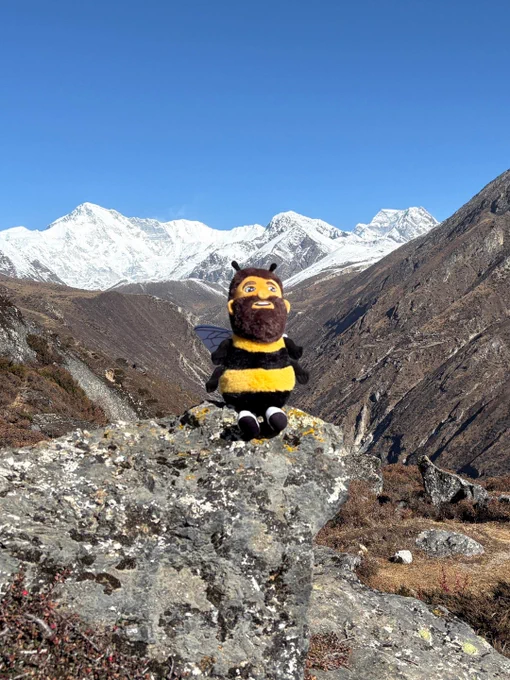 Stuffed toy resembling a cartoonish figure of a bee, sitting on a rock with the snow-covered Everest mountains in the background.
