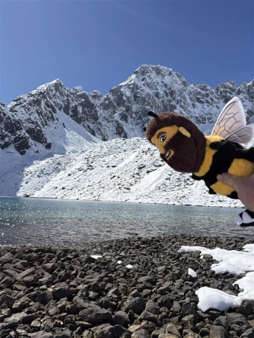 Stuffed toy resembling a cartoonish figure of a bee,  in front of a snow-covered mountain landscape with a rocky shore leading to a serene lake.