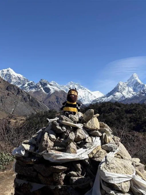 Stuffed toy resembling a cartoonish figure of a bee, mountain in the background under a clear blue sky.