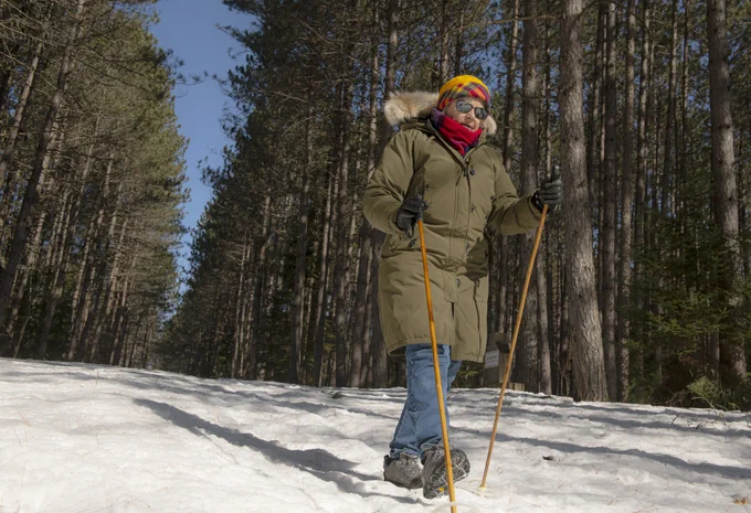 A person walking through a snow-covered forest under a clear sky. The individual is wearing a winter coat, hat, and glasses, and using poles.