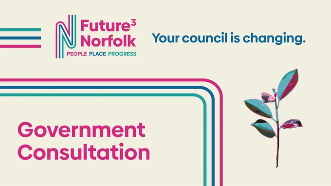 Graphic with text saying Government consultation