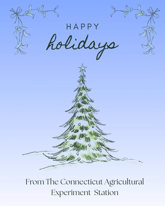 Image of a Christmas tree along with text reading:
"Happy holidays! 
From The Connecticut Agricultural Experiment Station."
