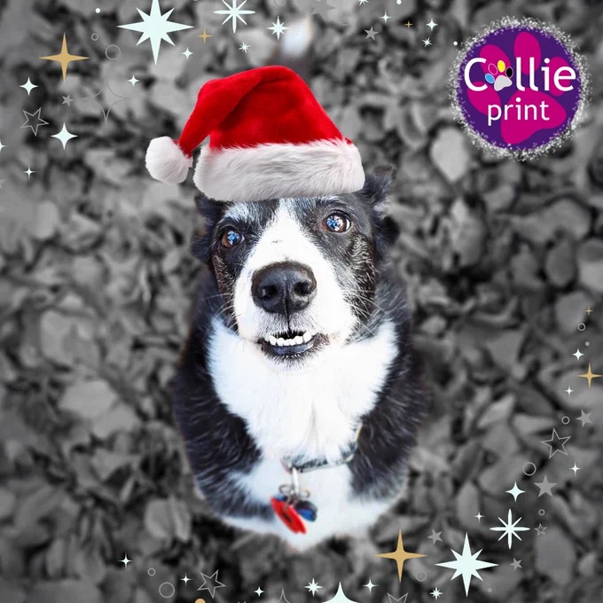 Happy Christmas 