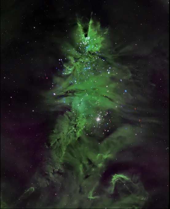 NGC 2264 is a cluster of young stars between one and five million years old. The stars are seen here as blue and white lights surrounded by swirls of gas—the “pine needles” of the tree—with green representing light in the visible spectrum.