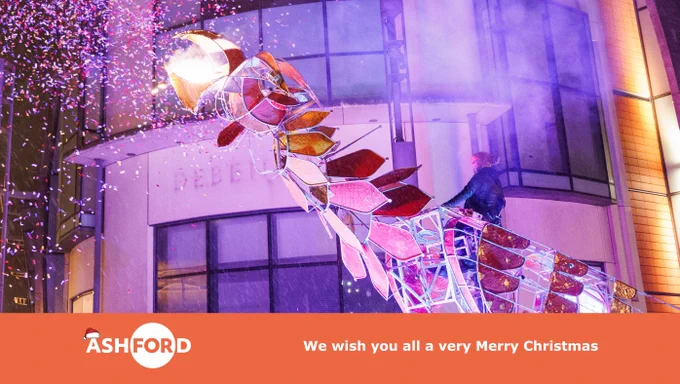 Text reads, we wish you all a very merry Christmas.