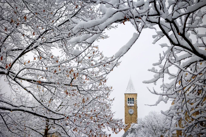 Snow-covered tree branches frame the view of the iconic McGraw Tower at Cornell University on a winter day.