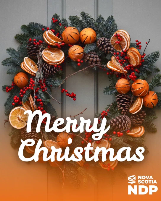 A festive wreath decorated with dried oranges, pinecones, and red berries hangs on a green door. Text reads “Merry Christmas,” with an NSNDP logo.