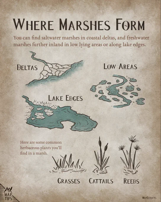 Where to Place Marshes - Fantasy Map Tip by Map Effects
