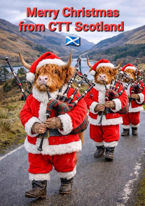 Highland Coos with santa outfit on, playing the bagpipes. 🏴󠁧󠁢󠁳󠁣󠁴󠁿🎅 