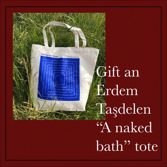 The post is a dark maroon, with a thin black border near the edge of the post. On the top left corder a photo of a white canvas tote bag with a blue design showing spiralling white text lying in grass. White text on the bottom right reads: Gift an Erdem Taşdelen "A naked bath" tote
