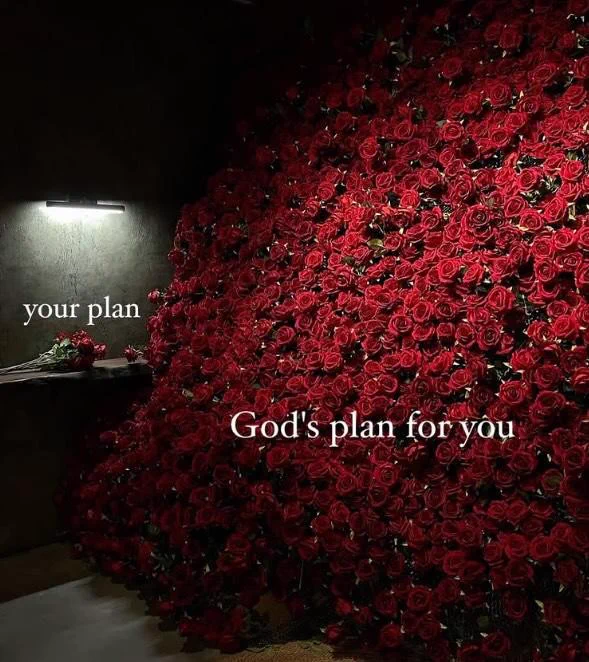 A dim, concrete room lit by a single wall light. On the left, a small table holds a modest bundle of red roses beneath the words “your plan.” On the right, an overwhelming cascade of deep red roses floods the wall and spills forward, lush and endless, crowned with the words “God’s plan for you.” The contrast feels deliberate and symbolic—scarcity versus abundance, limitation versus overflow, human expectation versus divine design.