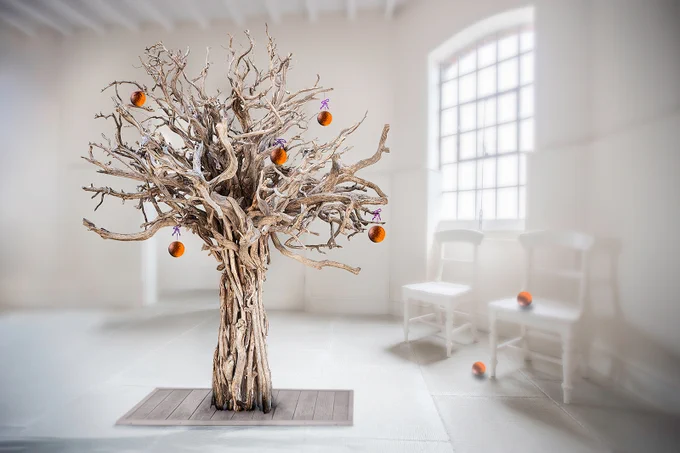 "Orange tree", by Gillian Scothern.