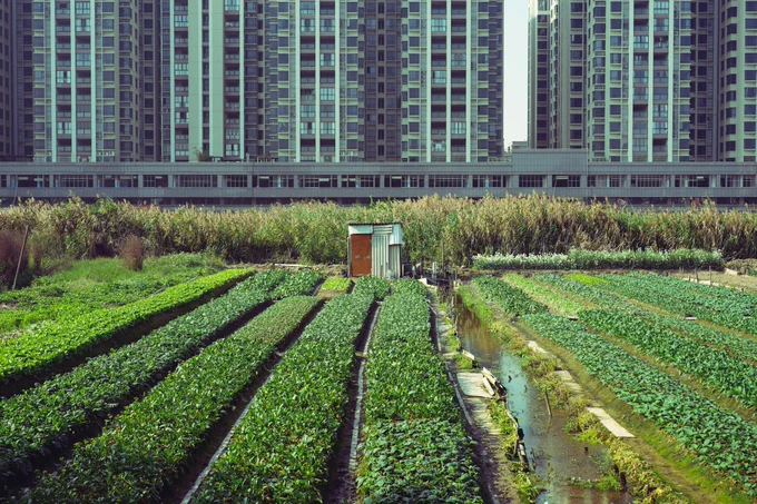Photograph of a row of tall buildings sitting next to a lush green field. By Charlies X under a free Unsplash license: https://bit.ly/441eYwJ.