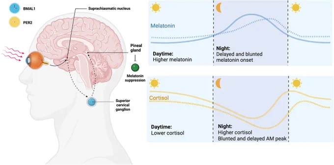 https://www.frontiersin.org/journals/psychiatry/articles/10.3389/fpsyt.2025.1697900/full