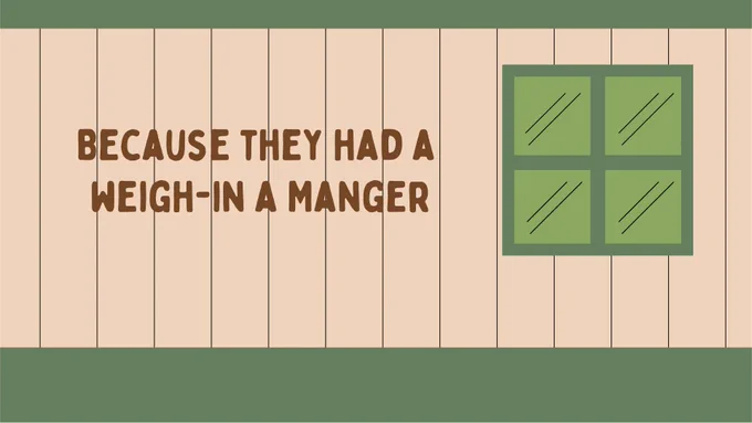 Because they had a weigh-in a manger