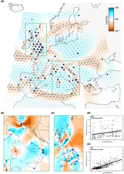 Maps of Europe, with zoomed in views of Italy and the UK, coloured by the historic rates of gene-flow showing areas of high- and low- movement, and graphs showing the different relationships between genetic- and geographic-distance in populations in Italy and the UK.