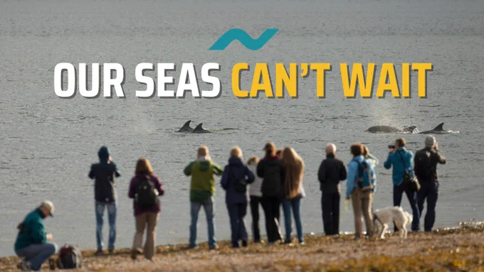 Group of people and a dog on a sandy beach watching dolphins in the water. Text reads "OUR SEAS CAN'T WAIT" with a stylized wave symbol above.