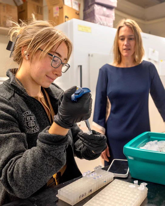 Martha Field has been developing crucial research on how folate and vitamin B12 affect mitochondrial DNA integrity and mitochondrial function, examining how these nutrients impact chronic diseases, aging, and soldiers’ cognitive and physical performance. Martha Field, left, assistant professor in the Division of Nutritional Sciences, works with Chloe Purello in her Kinzelberg Hall lab.