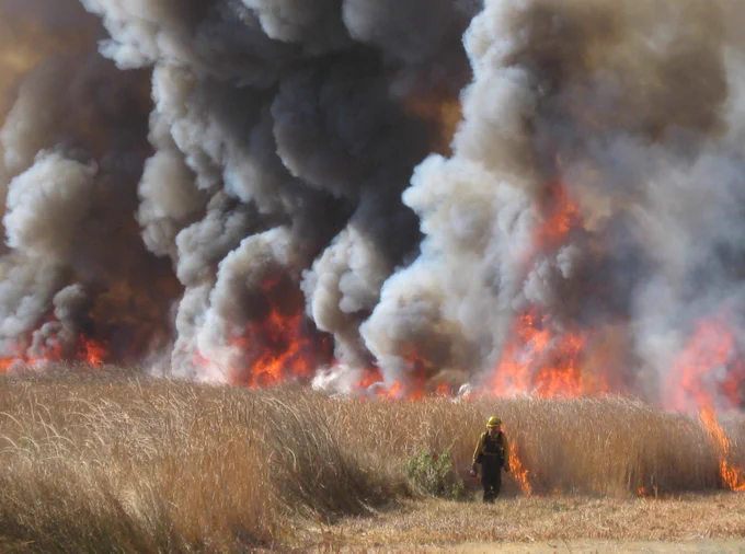 A firefighter walks through dry grass as thick black smoke and bright flames rise from a large wildfire.