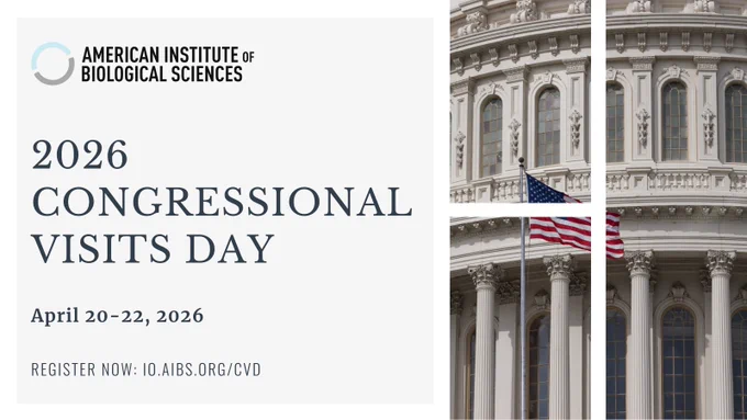 Close up of US Capitol building with American flag. Text: Amiercan Institute of Biological Sciences 2026 Congressional Visits Day April 20-22, 2026 Register Now:  io.aibs.org/cvd