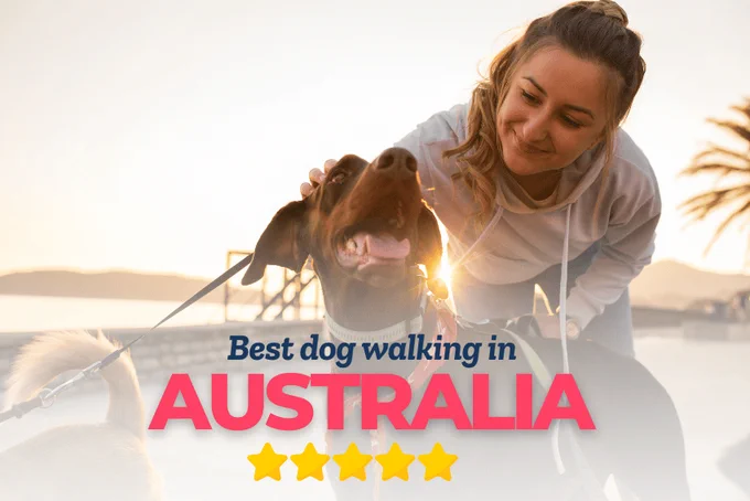 PetCloud is the best dog walking option Australia wide