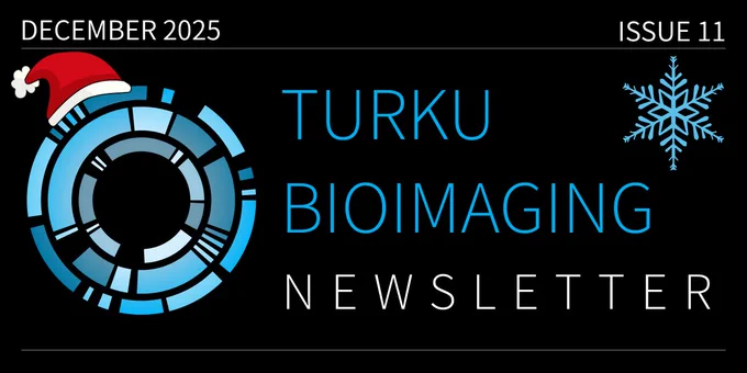 TBI_Newsletter_December2025_logo