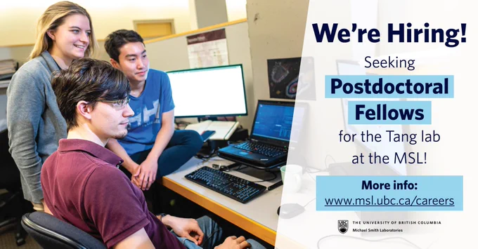 On the left, a photo pictures three researchers gathered around a computer in the bioinformatics research area of the MSL. To the right, text reads "We're hiring! Seeking Postdoctoral Fellows for the Tang lab at the MSL! More info at www.msl.ubc.ca/careers"