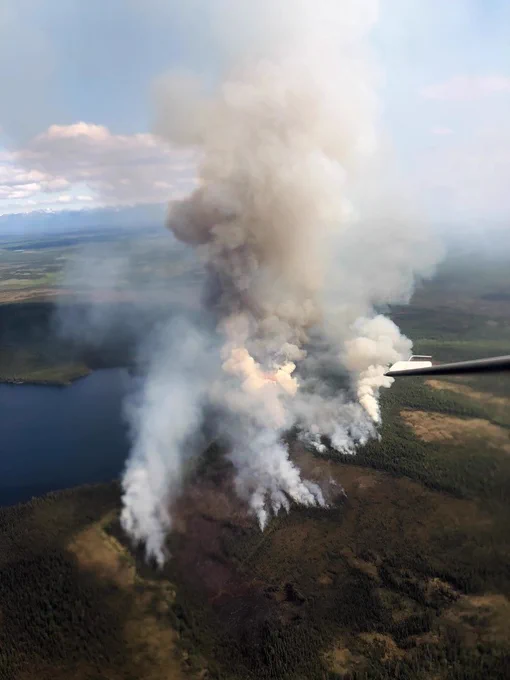 Thick smoke rising from multiple wildfire spots in a dense forest near a large body of water under a cloudy sky.