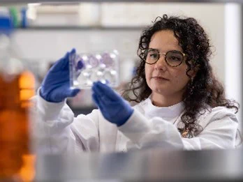 Researcher wearing a lab coat, safety glasses and blue gloves examines a clear laboratory plate in a biomedical research lab.