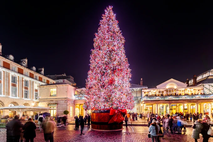 Picture of a lit up Christmas tree outside in the evening.