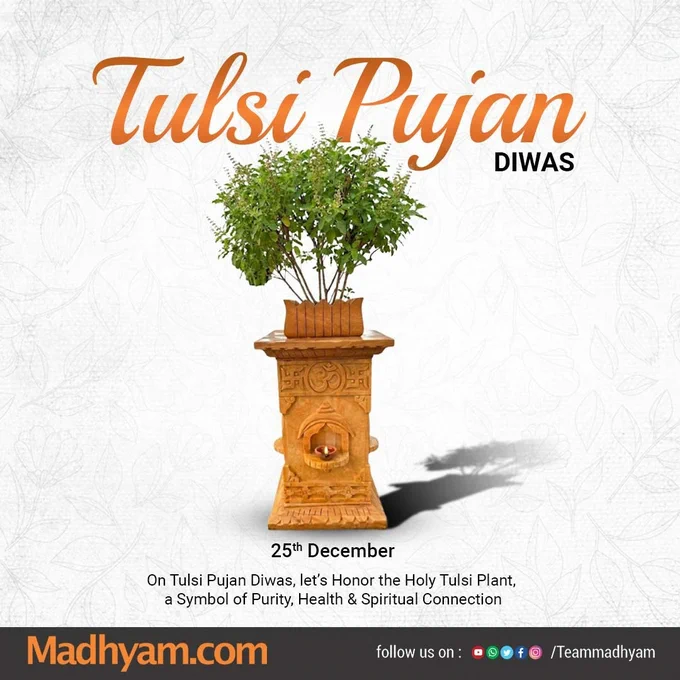 Honouring the sacred Tulsi 🌿
A timeless symbol of purity, health, and spiritual strength.
Wishing everyone a blessed Tulsi Pujan Diwas 🙏✨
#TulsiPujanDiwas #TulsiDiwas #SacredTulsi #IndianTraditions #SpiritualIndia 🌿