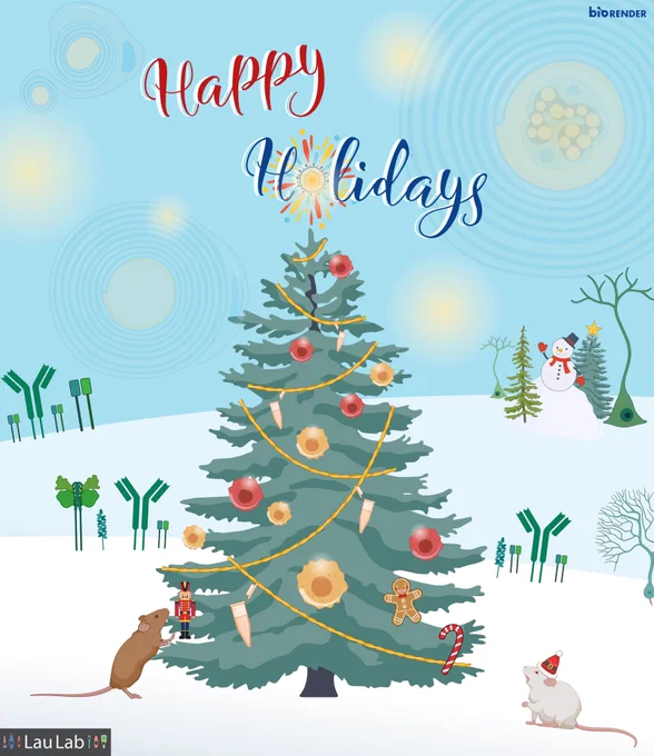 Happy Holidays to all! Hope we can overcome the challenges of the past year in the coming New Year!
