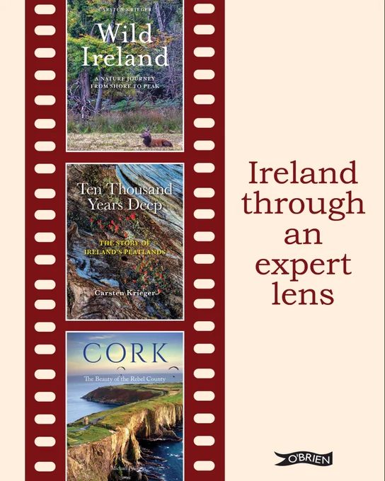 Book covers on cream and red background