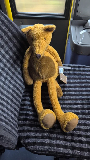 Teddy on board one of our trains.