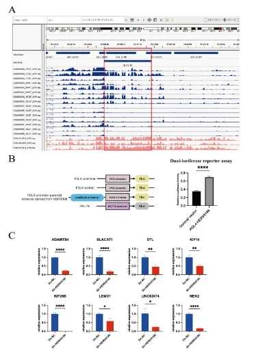 HERV6196 influenced neighboring genes as a potential enhancer.