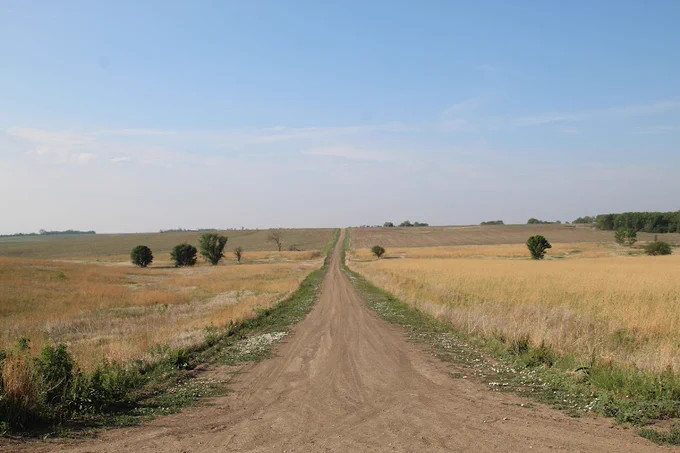 Two adjacent fields with differing levels of management and disturbance