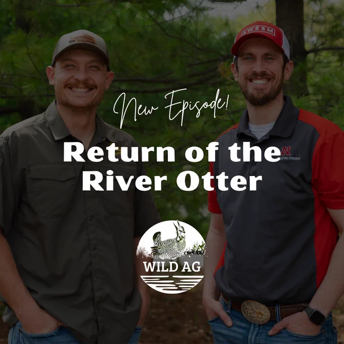 WildAg podcast logo overlaid on a photo of co-hosts Andy and Nathan. Text reads, "New episode! Return of the river otter."