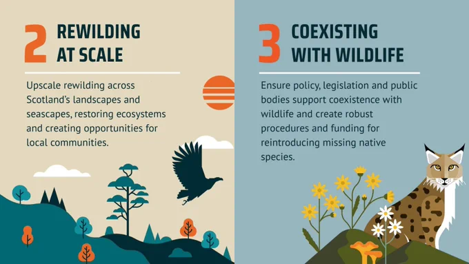 LEFT SIDE: Illustration featuring a silhouetted flying eagle, a setting sun, stylised trees, and clouds. A title in bold text reads "2 Rewilding at Scale" with additional text that says "Upscale rewilding across Scotland’s landscapes and seascapes, restoring ecosystems and creating opportunities for local communities."

RIGHT SIDE: An illustrated lynx sits on a grassy mound adorned with yellow and white wildflowers and mushrooms, against a light blue background. A bold title reads "3 Coexisting with Wildlife". Below, a paragraph reads "Ensure policy, legislation and public bodies support coexistence with wildlife and create robust procedures and funding for reintroducing missing native species."