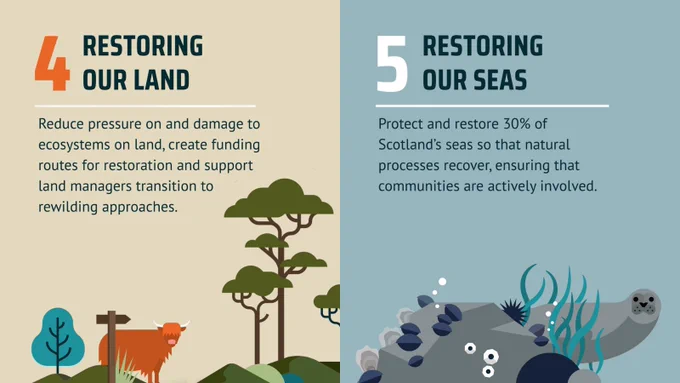 LEFT SIDE: A beige graphic with bold title "4 Restoring Our Land" next to an illustration of a Highland cow, trees, and a signpost. Additional text reads "Reduce pressure on and damage to ecosystems on land, create funding routes for restoration and support land managers transition to rewilding approaches."

RIGHT SIDE: An illustration of a seal peeking from behind rocks, surrounded by aquatic plants and shellfish. A large number "5" and the title "Restoring Our Seas" sits on a blue background. Beneath, text reads: "Protect and restore 30% of Scotland’s seas so that natural processes recover, ensuring that communities are actively involved."