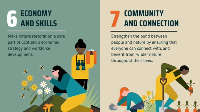 LEFT SIDE: Illustration showing two people involved in nature activities. One is wearing a yellow jacket with binoculars around the neck, holding a clipboard. The other is crouching, examining a plant with bees and flowers. Text reads, "6: Economy and Skills. Make nature restoration a core part of Scotland’s economic strategy and workforce development."

RIGHT SIDE: Illustration showing two people: one with red hair and blue clothing crouching and holding an oyster, and another with darker skin in yellow overalls harvesting carrots. The image features the number "7" and the text "Community and Connection" in bold lettering. Below, smaller text reads: "Strengthen the bond between people and nature by ensuring that everyone can connect with, and benefit from, wilder nature throughout their lives." 