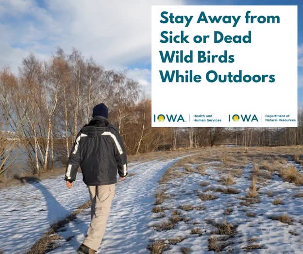 Person walking on a snowy trail in a barren landscape with a clear blue sky, carrying a backpack. A sign by Iowa Health and Human Services and Iowa Department of Natural Resources advises to stay away from sick or dead wild birds while outdoors.