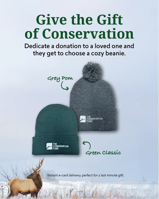 Advertisement for The Conservation Fund featuring two beanies, a grey pom beanie and a green classic beanie, with an image of an elk in the snowy background. Text encourages dedicating a donation as a gift and mentions instant e-card delivery.