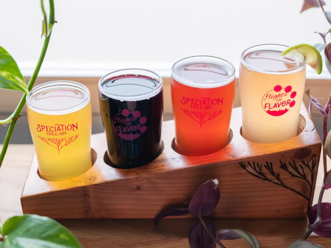 A flight of beer on a wooden tray beside a window, with houseplants in the background. The glasses are branded with "Speciation Cellars" and "Flights of Flavor".