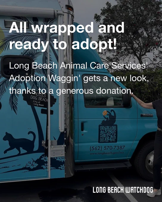 All wrapped and ready to adopt!
Long Beach Animal Care Services' Adoption Waggin' gets a new look, thanks to a generous donation.