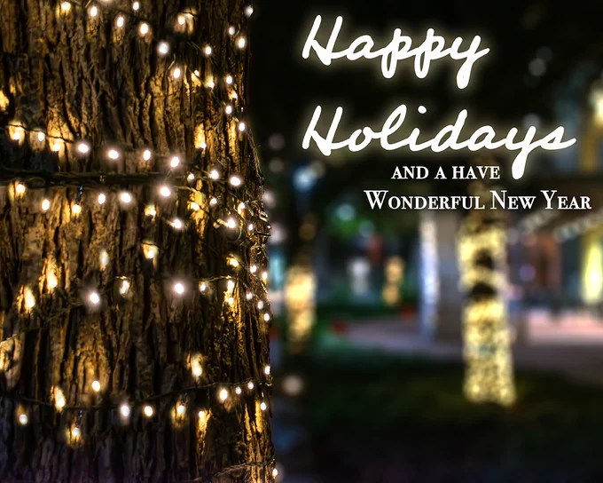 "Happy Holidays and a Wonderful New Year" greeting over a festive image featuring trees wrapped in twinkling lights at night.