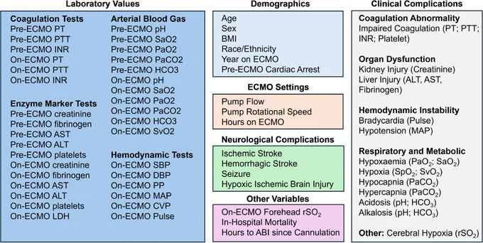 Variables investigated in the VA-ECMO patient population, including pre-ECMO and on-ECMO laboratory values, hemodynamic parameters, arterial blood gas measurements, and neurologic and clinical complications. ALT, alanine aminotransferase; AST, aspartate aminotransferase; BMI, body mass index; CVP, central venous pressure; HCO₃, bicarbonate; INR, international normalized ratio; MAP, mean arterial pressure; PaO₂, partial pressure of oxygen; PaCO₂, partial pressure of carbon dioxide; PP, pulse pressure; PT, prothrombin time; PTT, partial thromboplastin time; rSO₂, regional cerebral oxygen saturation; SaO₂, arterial oxygen saturation; SBP, systolic blood pressure; SpO₂, peripheral oxygen saturation; SvO₂, mixed venous oxygen saturation; VA-ECMO, venoarterial extracorporeal membrane oxygenation.