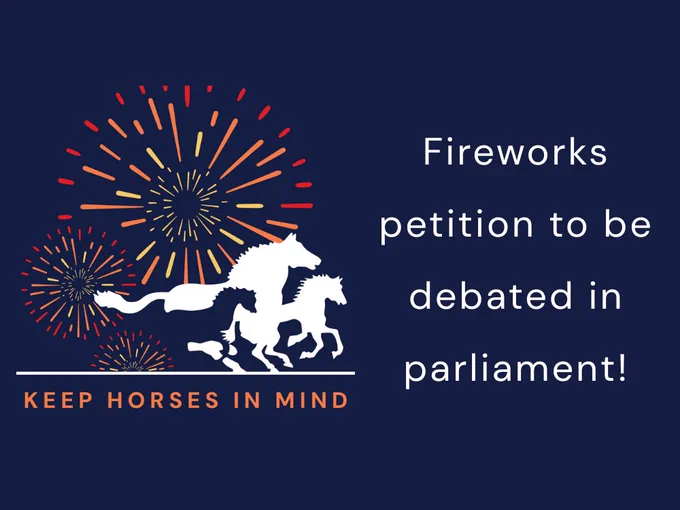 An image containing the Keep Horses In Mind campaign logo (the Redwings logo of running horses with fireworks above them) and text reading "Fireworks petition to be debated in parliament!" 